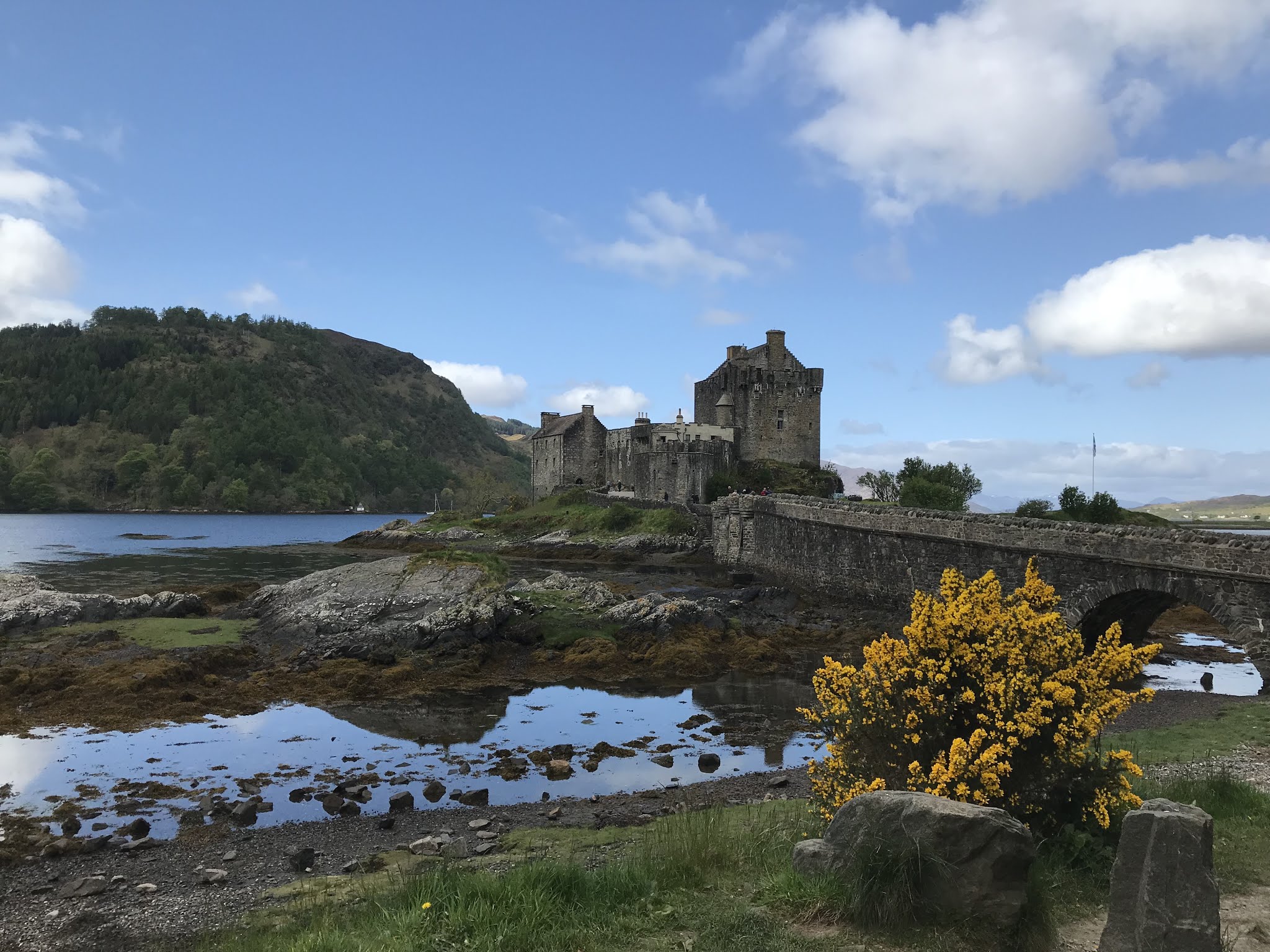 aLbC0iuuTZWuhhsbrRQ0fA